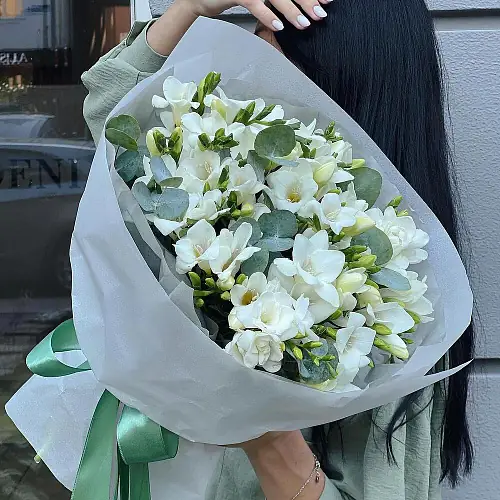 Фрезия в дизайнерской упаковке 