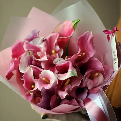 21 Розовая Калла в упаковке