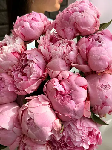 На фото №6 15 Пионов в стильной упаковке 