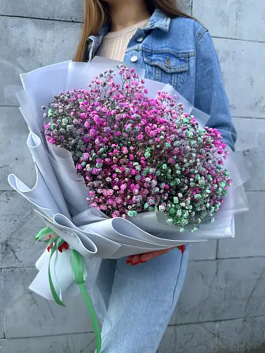 На фото №8 Гипсофила Цветная микс