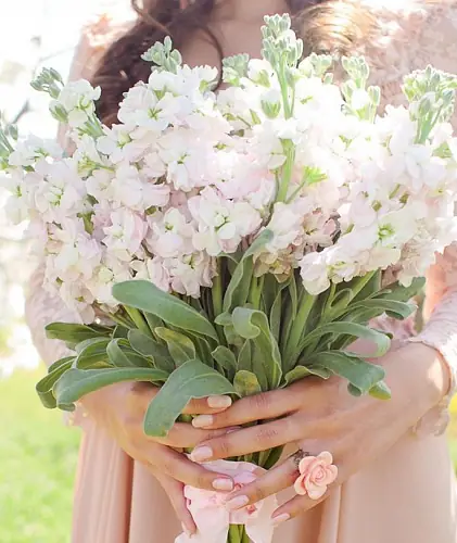 Букет невесты из Маттиол