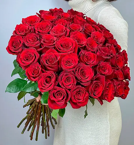 50 Алых роз