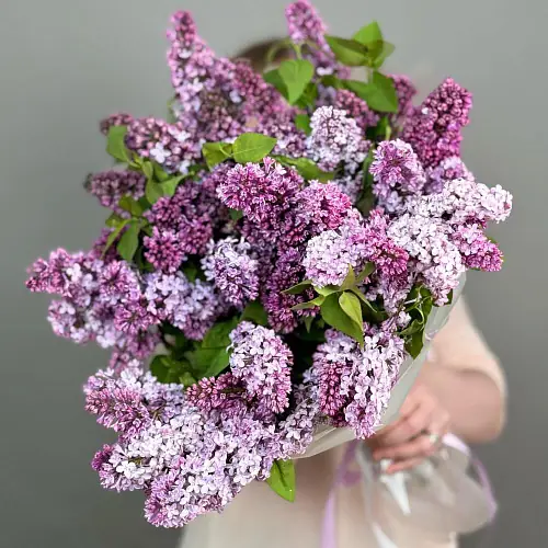 На фото №2 15 веток сирени в дизайнерской упаковке