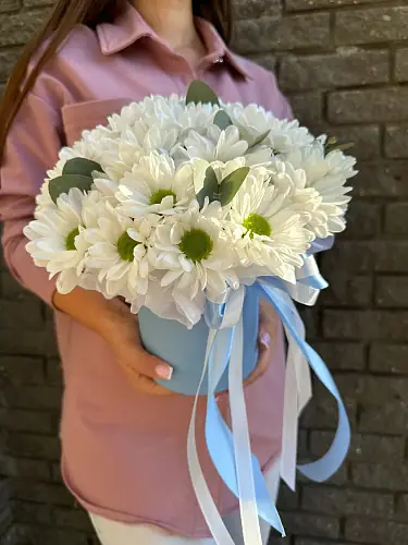 Коробка с кустовой хризантемой