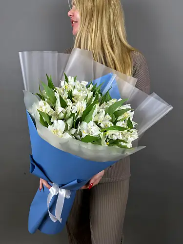 На фото №5 15 Белых Альстромерий