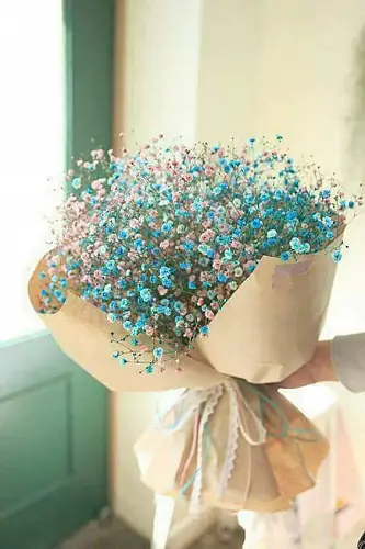 Букет "9 Розово-Голубых Гипсофил"