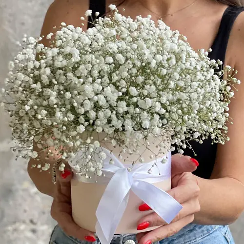 На фото №2 Гипсофила в коробке Белого цвета
