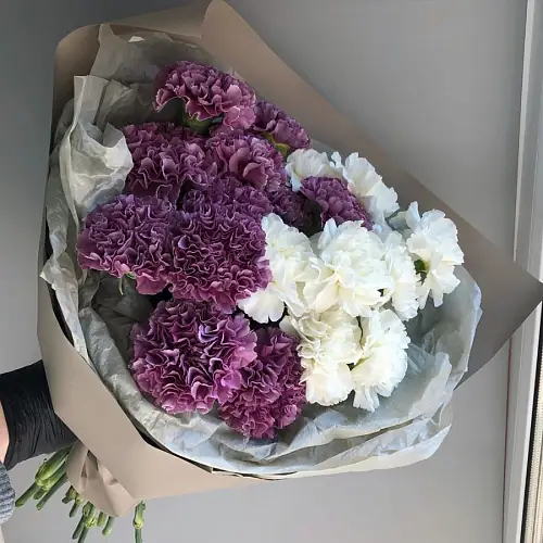 21 Белая и Фиолетовая Гвоздика
