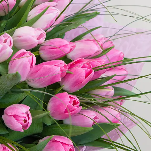 На фото №2 Букет из 35 розовых тюльпанов