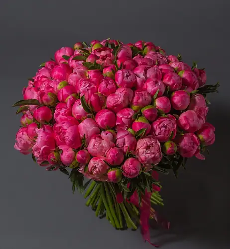 101 Яркий пион