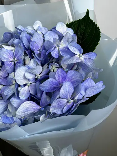 На фото №3 Букет из голубой гортензии