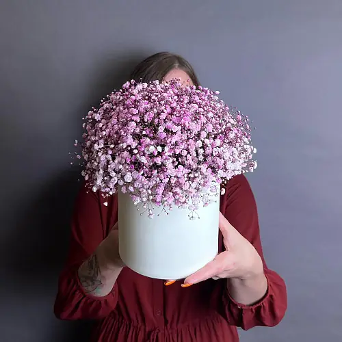 На фото №2 Коробка с розовой гипсофилой 