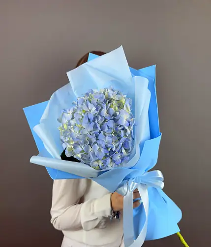 На фото №6 Голубая гортензия