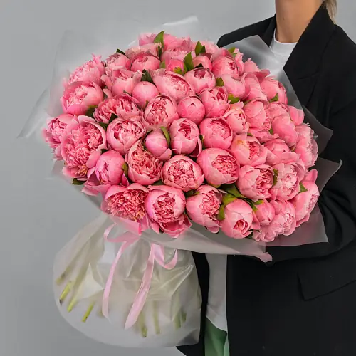Букет из 51 пиона кораллового цвета в упаковке