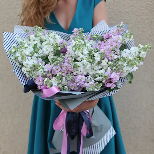 27 Разноцветных Маттиол в упаковке 