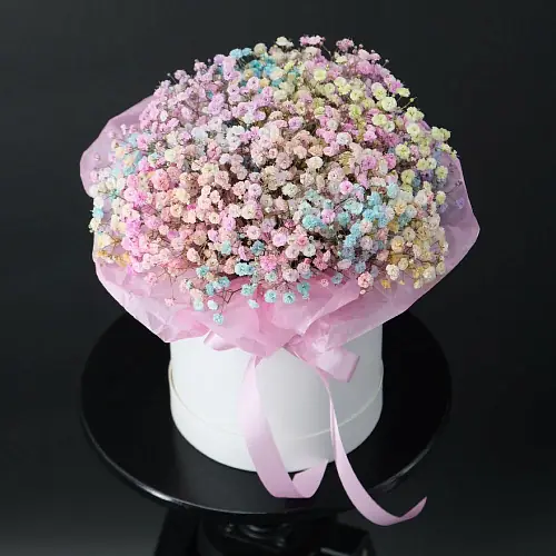 На фото №2 Гипсофила радужная в коробке 