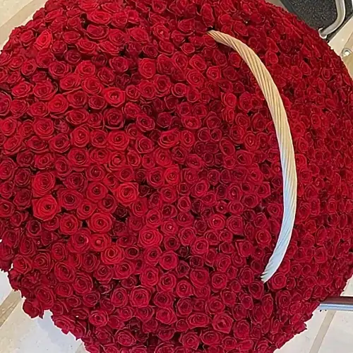 На фото №2 Цветы в корзине 1001 Красная роза Эквадор 