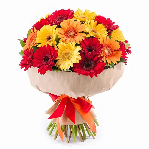 25 Гербер Микс в упаковке