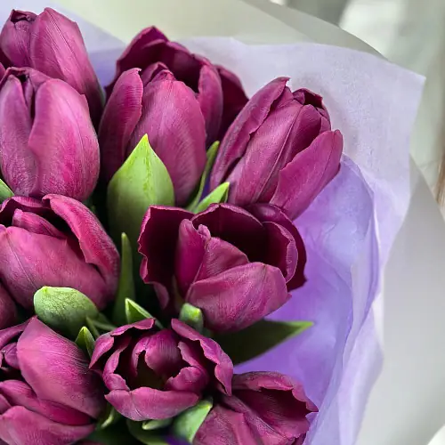 На фото №3 15 Сиреневых тюльпанов в нежной упаковке