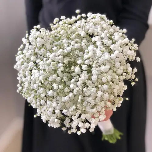 На фото №2 Свадебная белая гипсофила для невесты