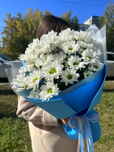 На фото №4 Букет живых цветов из 5 кустовых хризантем оформленный в дизайнерскую упаковку