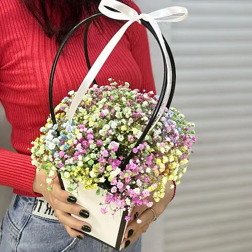 На фото №2 Гипсофила радужная в сумочке 