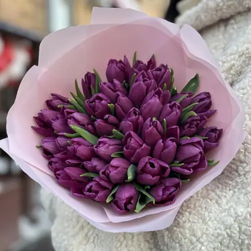 На фото №2 35 фиолетовых тюльпанов