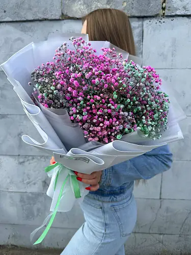 На фото №4 Гипсофила Цветная микс