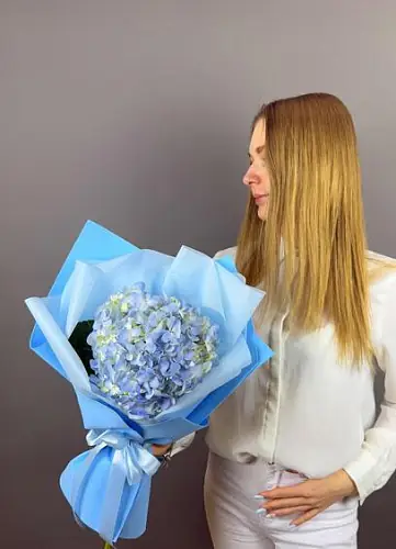 На фото №2 Голубая гортензия