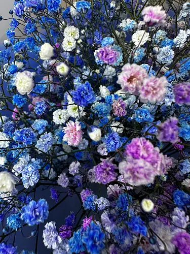 На фото №4 Радужная гипсофила в дизайнерской упаковке