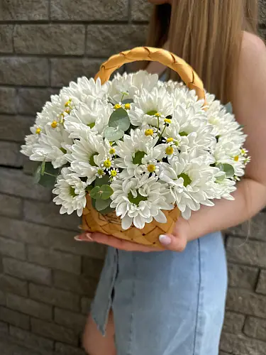 Хризантема кустовая в корзине композиция с матрикарией