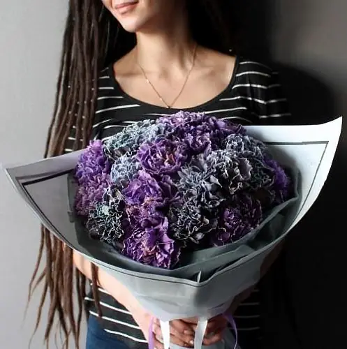 21 Серо-Фиолетовая Гвоздика в упаковке 