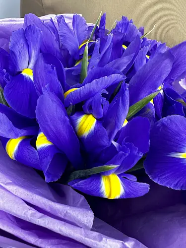 На фото №2 Букет живых цветов из 11 Ирисов