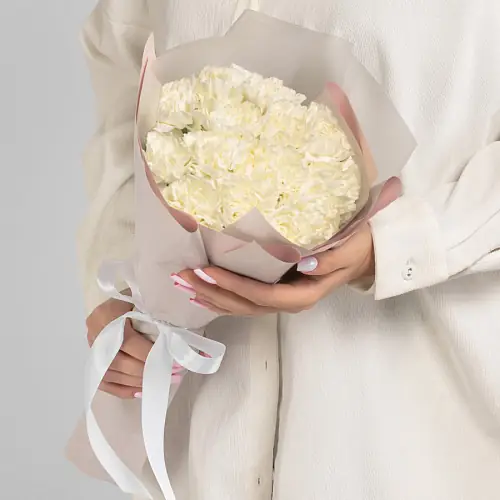 15 Светлых Диантусов