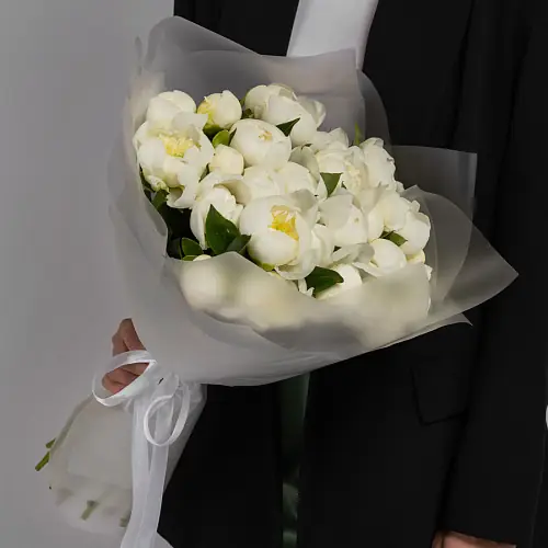 25 Светлых Пионов в упаковке 