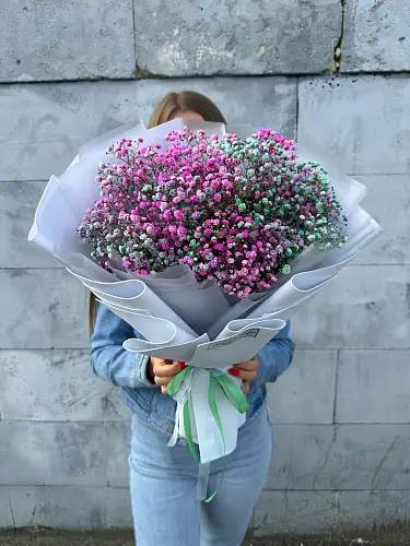 На фото №2 Гипсофила Цветная микс