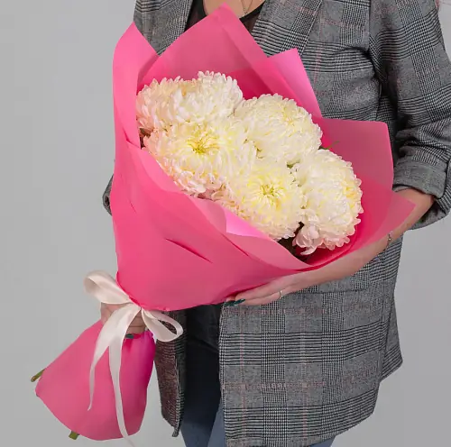 Кремовые Хризантемы в Розовой упаковке