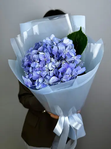 На фото №4 Букет живых цветов из голубой гортензии
