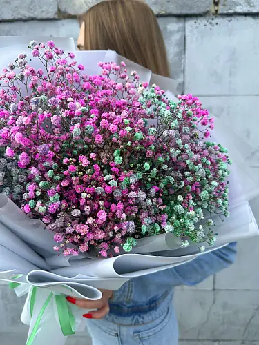 На фото №5 Гипсофила Цветная микс