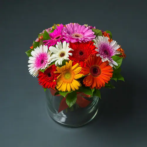 На фото №2 15 Разноцветных Гербер