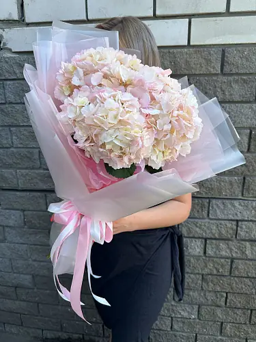 На фото №2 3 Гортензии в дизайнерской упаковке 