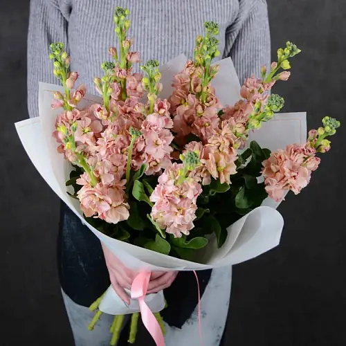 Букет "11 Светло-Коричневых Маттиол"