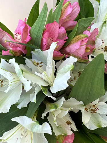 На фото №3 Букет живых цветов из белой и розовой альстромерии в дизайнерской упаковке