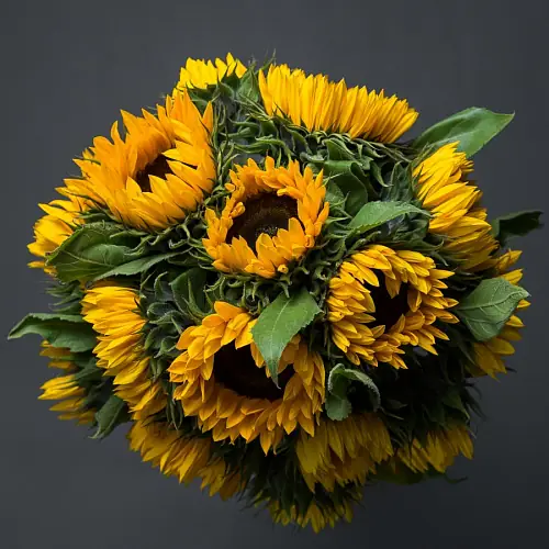 На фото №4 15 Подсолнухов