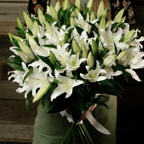 19 Снежных Лилий 