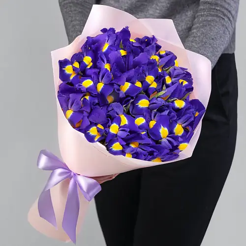 17 Ирисов в упаковке