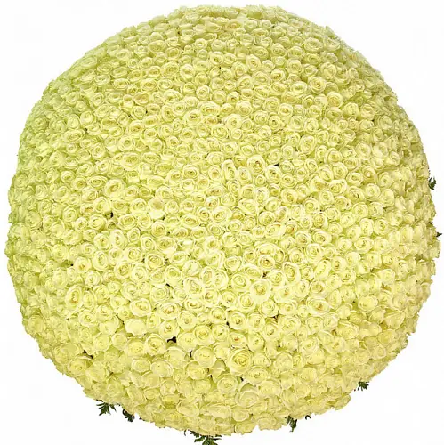 Цветы в корзине 1001 Белая Роза