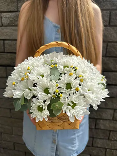 На фото №2 Хризантема кустовая в корзине композиция с матрикарией