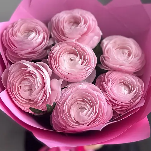 На фото №2 7 Розовых ранункулюсов