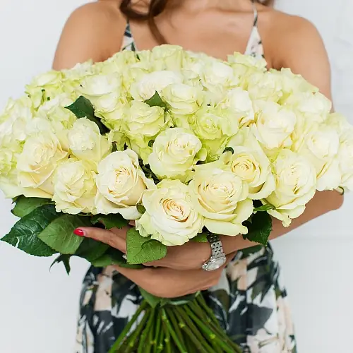 На фото №3 51 Элитной роза Mondial (Эквадор)